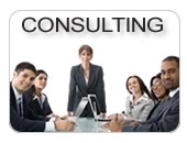 consulting